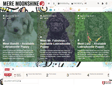 Tablet Screenshot of meremoonshine.com